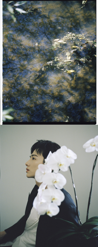 https://www.nelkshuhe.com/files/gimgs/127_01.jpg