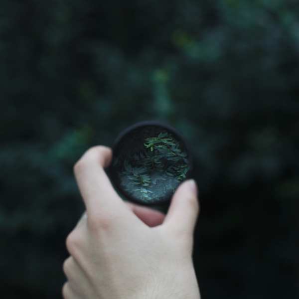 https://www.nelkshuhe.com/files/gimgs/27_bl8a6902.jpg