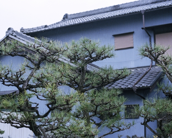 https://www.nelkshuhe.com/files/gimgs/44_1603200120.jpg