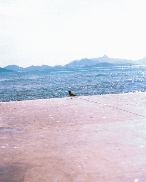 https://www.nelkshuhe.com/files/gimgs/45_1-001_v2.jpg