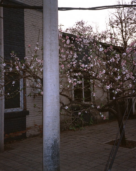 https://www.nelkshuhe.com/files/gimgs/45_2-004.jpg