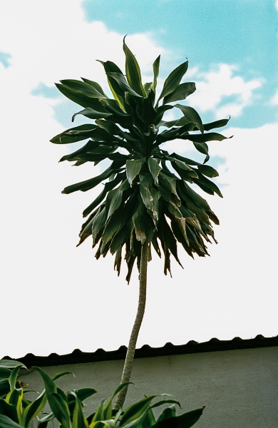 https://www.nelkshuhe.com/files/gimgs/47_1-0022.jpg