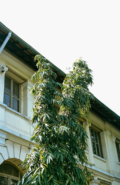 https://www.nelkshuhe.com/files/gimgs/47_1-0053.jpg