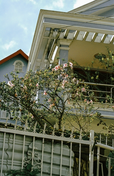 https://www.nelkshuhe.com/files/gimgs/47_4-0072.jpg