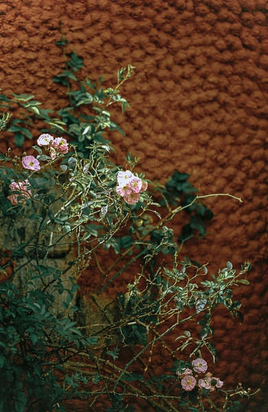 https://www.nelkshuhe.com/files/gimgs/47_6-00112.jpg