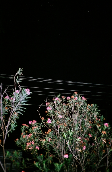 https://www.nelkshuhe.com/files/gimgs/47_7-00222.jpg