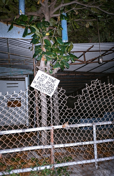 https://www.nelkshuhe.com/files/gimgs/47_7-0032.jpg