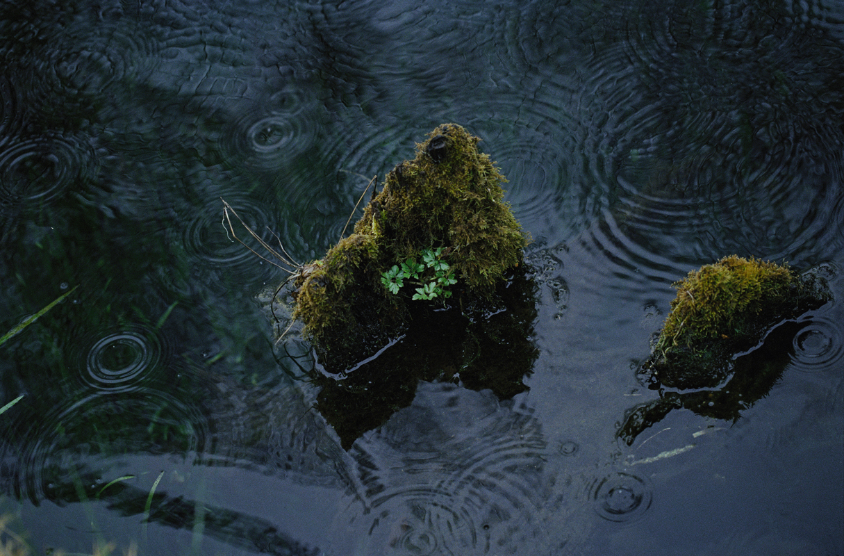 https://www.nelkshuhe.com/files/gimgs/64_0179.jpg