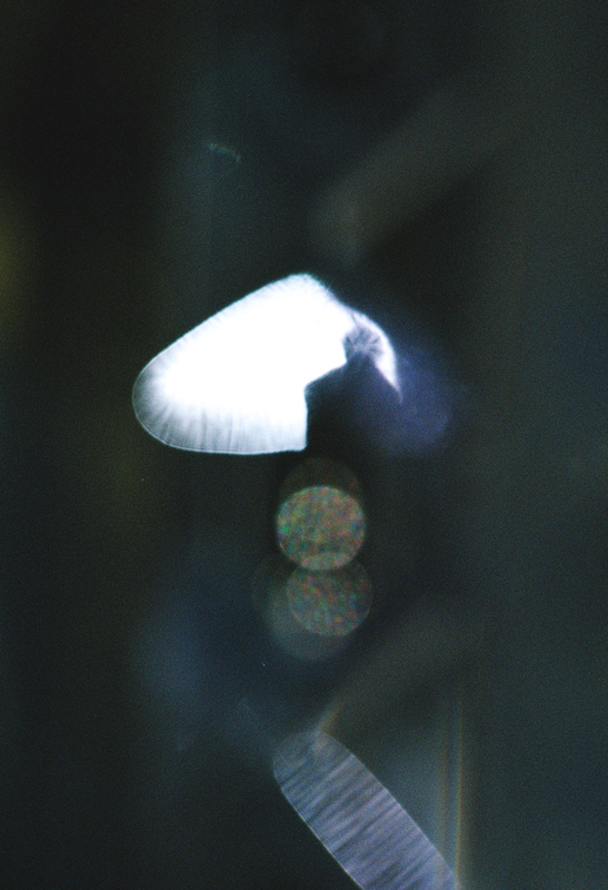 https://www.nelkshuhe.com/files/gimgs/64_049.jpg