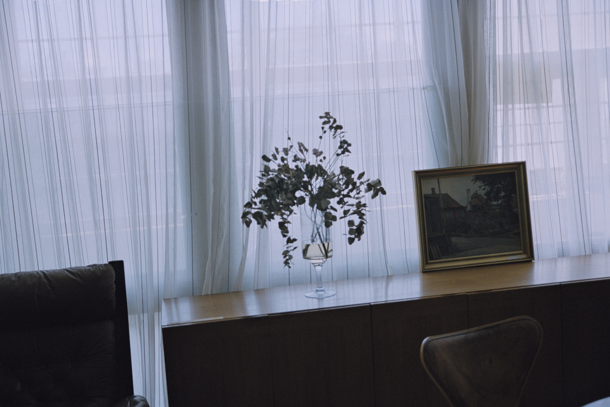 https://www.nelkshuhe.com/files/gimgs/69_170809portra1510.jpg
