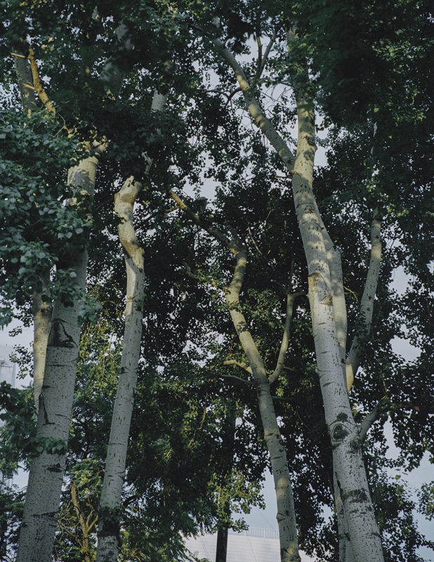 https://www.nelkshuhe.com/files/gimgs/82_0017.jpg