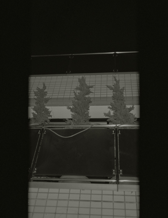 https://www.nelkshuhe.com/files/gimgs/83_005.jpg
