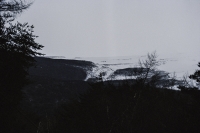 34_11603200110.jpg