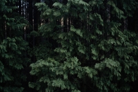 34_11603220320.jpg