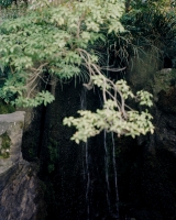 73_19.jpg