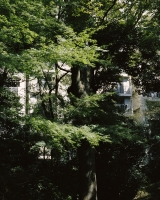 92_111.jpg