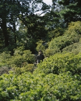 92_1870.jpg