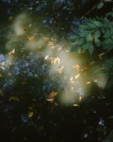 92_770.jpg